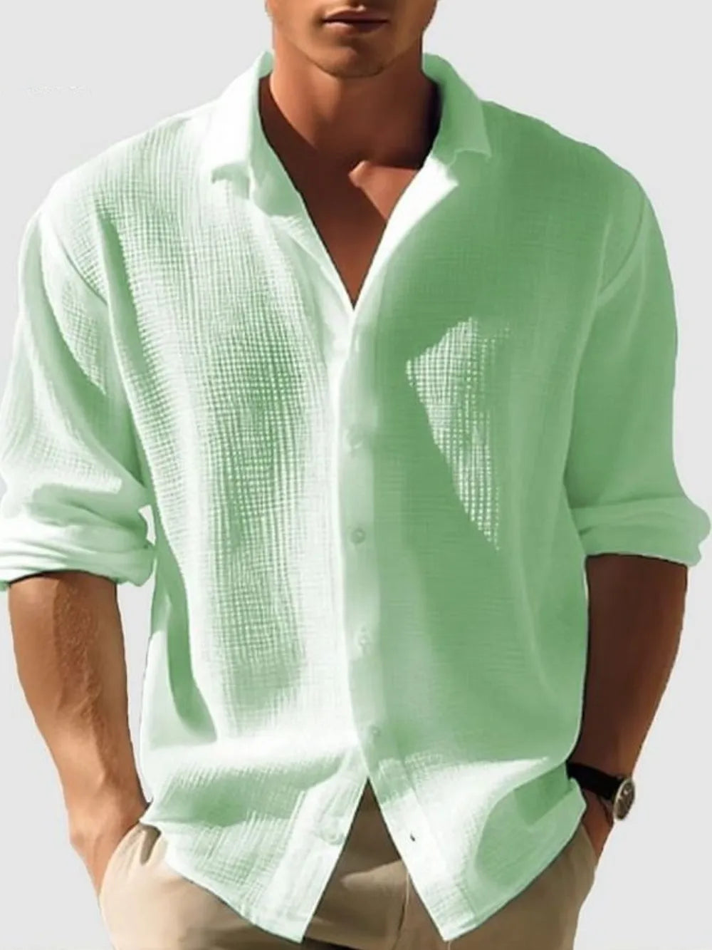 Mens Regular & Plus Size Collared Neck Button Down Long Sleeve Shirt