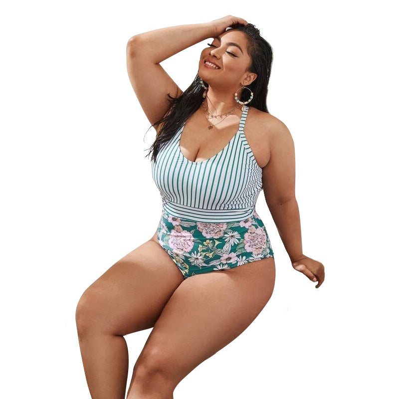 Plus Size Bikini Print Striped Swimwear